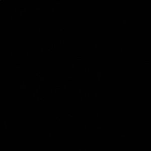 Meet your Posher, Savannah